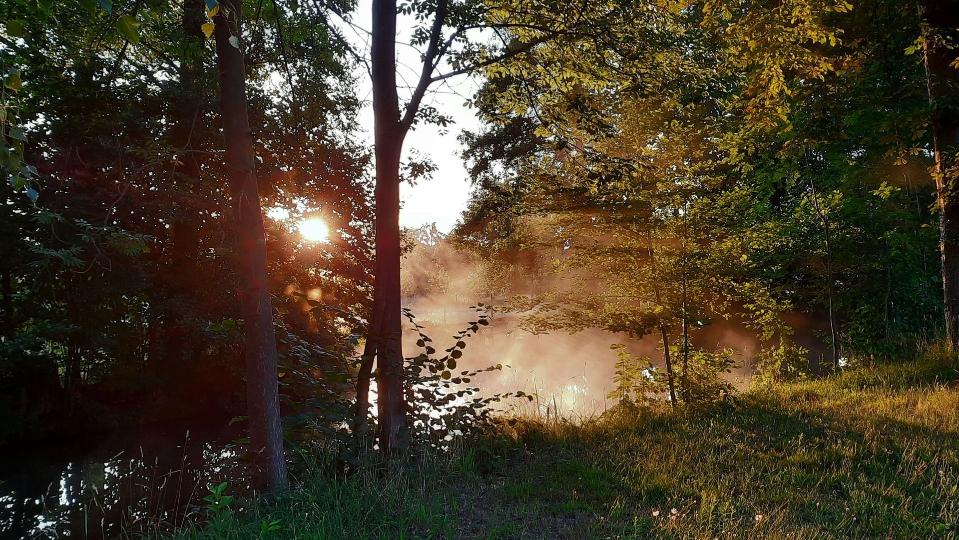 Die Spree beim Sonnenuntergang